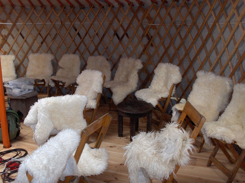 sedie con pelli di pecora